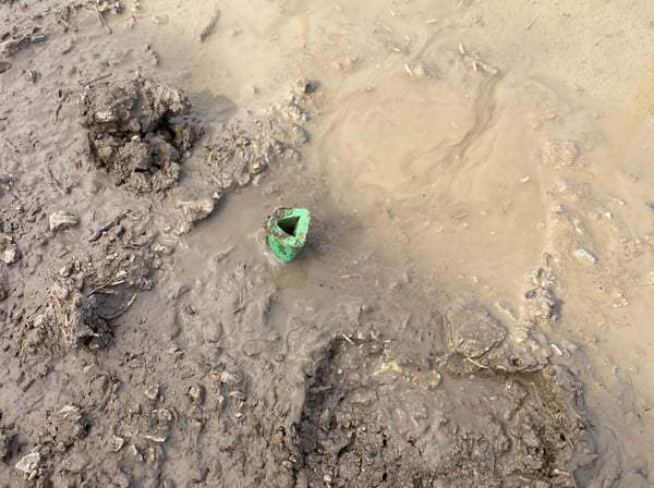 Buckingham retractable gaff guard stuck in the mud